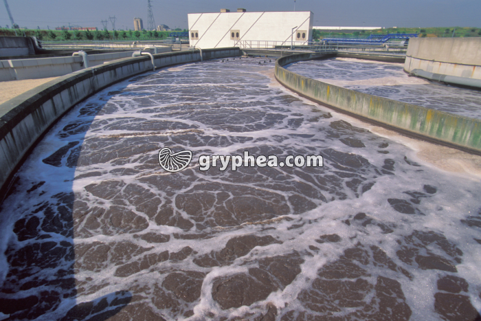 Traitement des eaux usées en station d'épuration - gryphea.com